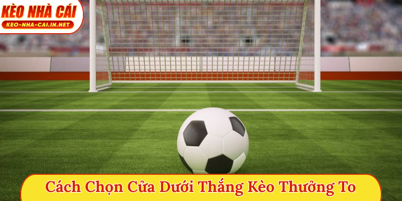 Cách chọn cửa dưới thắng kèo