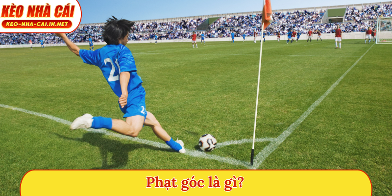 Phạt góc là gì