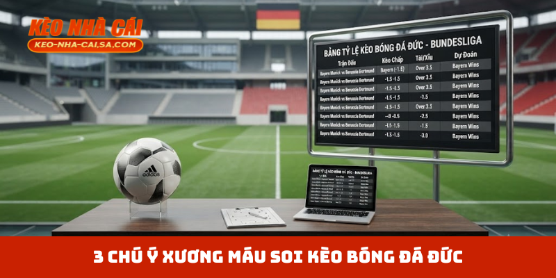3 chú ý xương máu soi kèo bóng đá Đức