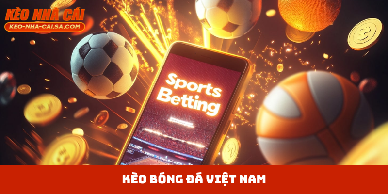 Ví dụ cách đọc kèo bóng đá Việt Nam