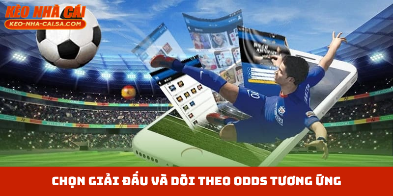 Chọn giải đấu và dõi theo odds tương ứng