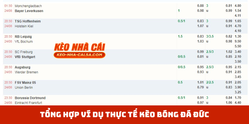Tổng hợp ví dụ thực tế kèo bóng đá Đức